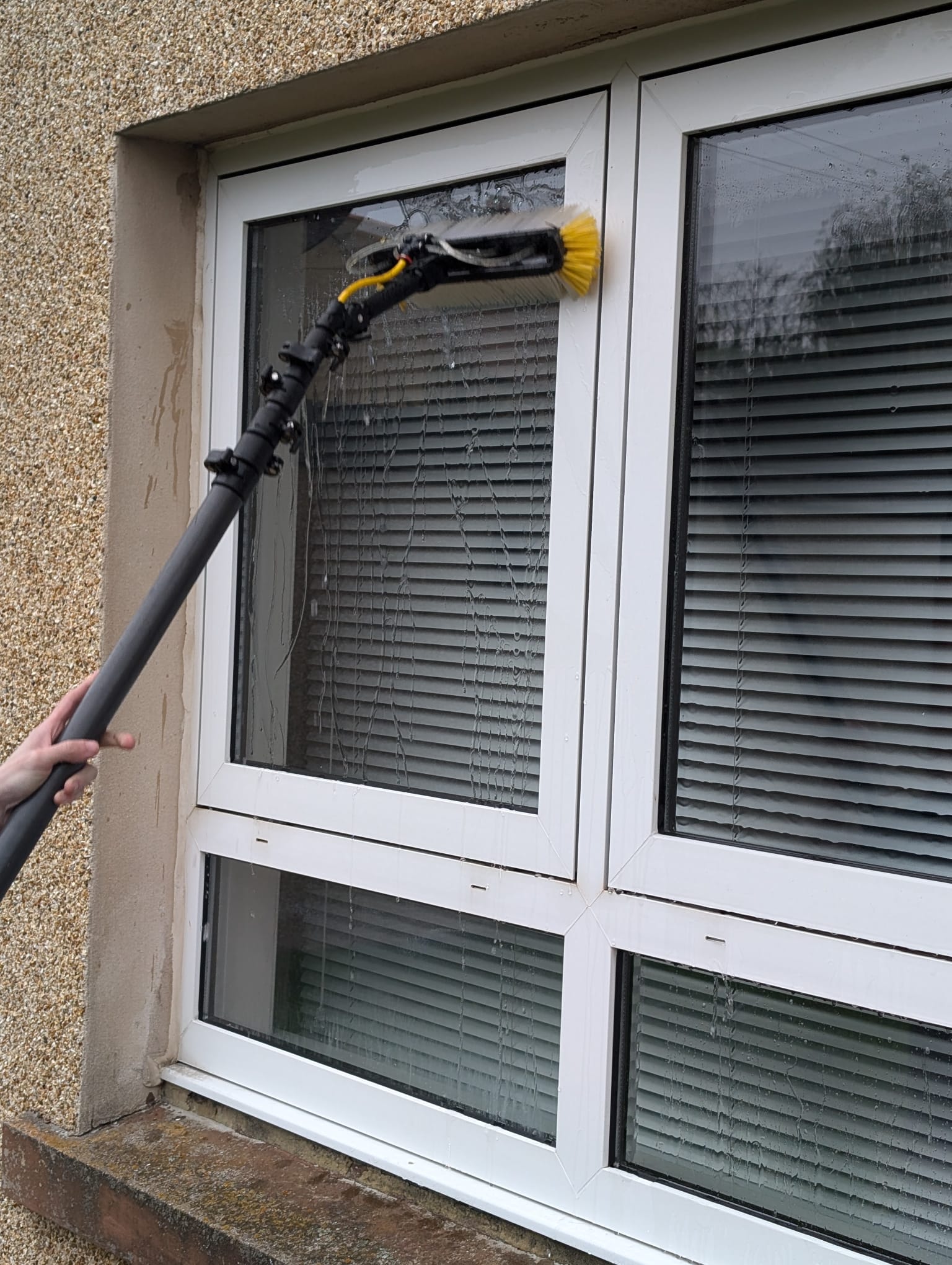 Professional window cleaning using water-fed pole system on residential property
